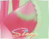 Kiss l Bunny Tail