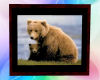 [G] Bear & Cub Pic