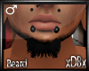 DB* Beard.V1