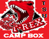 TSU Cheer Camp Voicebox