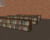Library Bookshelf 2