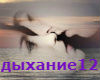 TbI_TIHOE_MOE_DbIHANUE