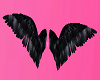 Small Black Wings