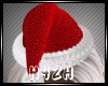 Hz-Christmas  Hat