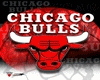 Chicago Bull Toddler Bed