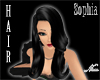 B*Black Shine Sophia