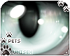 [Pets] Nefer | eyes v3