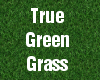 Grass #1