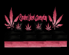 Pink Stoner Couch 2