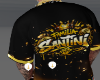 Santini Famil