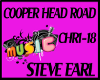 COPPER HEAD ROAD