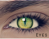 Cat Eyes