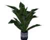 Animated plant