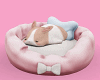 𝐼𝑧.MyBunny