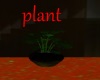 bright green plant
