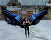 Blue & Black Multi wings