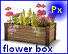 Px Flower box