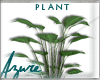 *A* MzTeen Plant