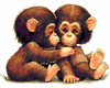 monkey kissing monkey
