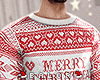 ♛ Christmas  Sweater