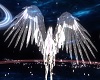 Animated Glow Wings M/F