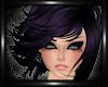 ! Avis Purple F/M