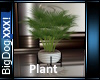 [BD] Plant