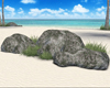 Stone with grass
