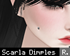 「 ☾ 」 Face Dimple