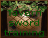 Tavern sword training