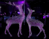 Wire Mesh Deer Duo