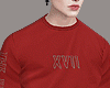 Dd-  Sweater Red