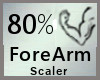 Scale Forearm 80% M A