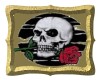 skull and rose