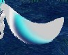 [V] Greynie blue tail