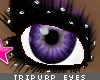 [V4NY] TriPurp Eyes