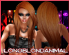 Long hair copper Rene