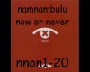 now or never~ namnambulu