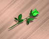 Tiny Green Rose