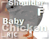 R|C Baby Chick Grey F