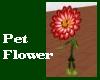 flower pet