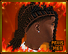 p. Braided Locs Ponytail