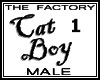 TF Cat Boy Avatar1