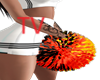 TV> Germany Pompoms