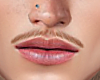 Ginger Tache Mh