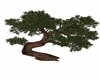 GARDEN TREE2