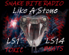 Audioslave: Like A Stone