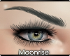 m| Lara brows and lashes