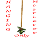 Hanging Mistletoe Only