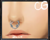 CG||Double.Septum